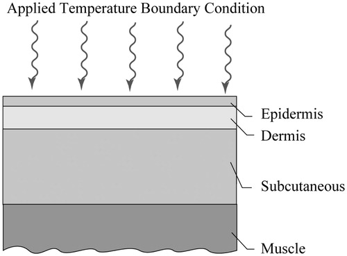 Figure 5. Multiple tissue layers and applied boundary condition.