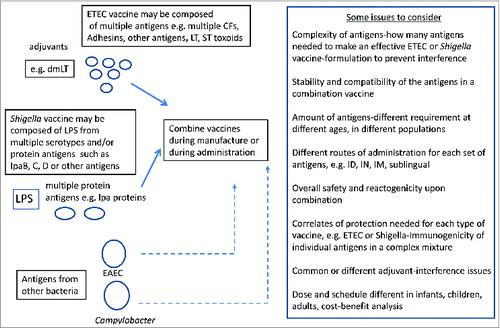 Figure 2. Hypothetical scenario for combination of subunit diarrheal vaccines.