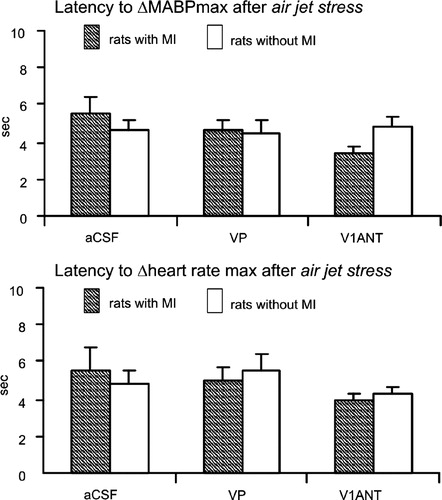 Figure 4 The time zero-peak latency between application of air jet stress and MABP and heart rate during i.c.v. infusions of cerebrospinal fluid (aCSF), VP and VP V1ANT. Number of rats in the group: sham CSF—9, sham VP—8, sham V1ANT—8, infarct CSF—8, infarct VP—8, infarct V1ANT—8.