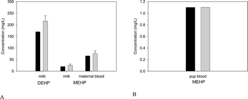 Figure B5.  (A) DEHP and MEHP in the milk and MEHP in the blood of the lactating dam, and (B) MEHP in the suckling rat after the last oral dose of 2000 mg/kg/day administered on days 15− 17 of lactation. Bars represent model simulations (black) or mean + SD of measured concentrations (gray) in the milk, maternal blood and pup blood 3-6 hrs after the last dose of 2000 mg/kg/day DEHP (Dostal et al., Citation1987).