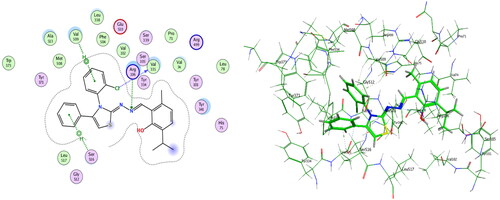 Figure 6. 6b, ligand–enzyme interaction 2D (left) and 3D (right) inside COX-2 active site.