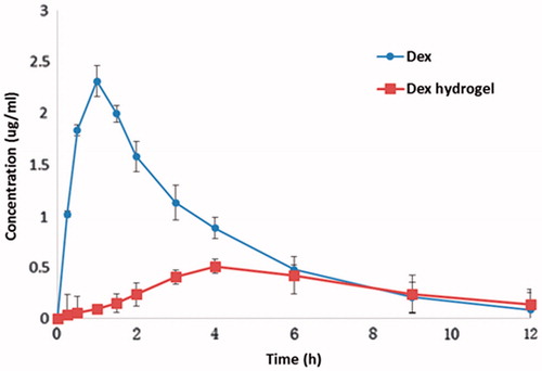 Figure 6. Plasma concentration curves of dexamethasone (i.g. administration of 5 µmol/kg) and dexamethasone hydrogel (i.g. administration of hydrogel containing 5μmol/kg dexamethasone) in rats (data are mean ± SD, n = 6).
