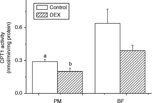 Figure 3.  Effect of dexamethasone treatment (DEX, daily subcutaneous injection of 2 mg/kg body weight for 3 days) on CPT1 activity (nmol/min/mg protein) in PM and BF from broiler chickens in Trial 1. Values are means ± SE (n = 8). Different superscripts (a,b) indicate significant differences (P < 0.05) in the means, by ANOVA and Duncan's multiple test.