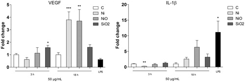 Figure 3. Secretion of VEGF (left) or IL-1β following 18 h exposure of THP1* cells to 50 µg/ml (15.8 μg Ni/cm2) Ni NPs, NiO NPs or SiO2 (quartz). The bars show mean ± SEM and significant differences compared to the control are marked with asterisks (* for p-value < 0.05, ** for p-value < 0.01, *** for p-value < 0.001).