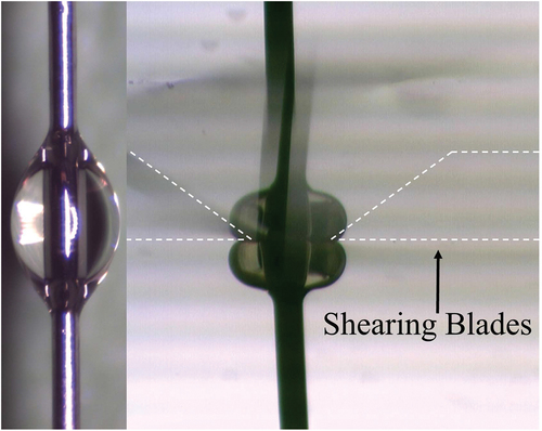 Figure 4. Micrograph of steel filament/epoxy microbond specimen: pre-test and in-situ.