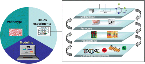 Figure 1.  Predictive systems biology for toxicological assessment. The different levels of omics are needed to fully understand risks associated with cigarette smoking. High throughput genomic analyses are an essential part of this mechanistic approach.