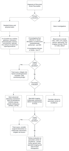 Figure 2. Proposed pathway to evaluate RAP. Genetic testing is particularly indicated if there is a family history of acute pancreatitis and young age of presentation; other indicators for IgG4 testing (other than HISORt criteria) include diffuse enhancement, capsular enhancement or multiple duct strictures. It is also worth noting that endoscopic ultrasound is the imaging modality of choice in patients with single or recurrent idiopathic acute pancreatitis [Citation27].