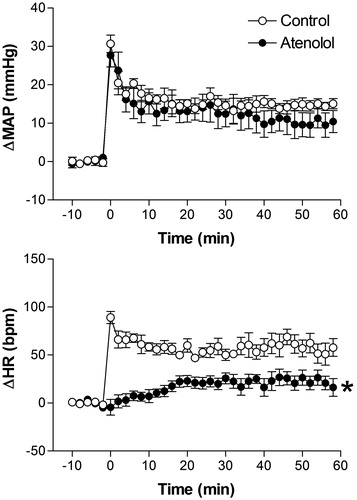 Figure 5. Mean arterial pressure (ΔMAP) and heart rate (ΔHR) changes with time during restraint in the vehicle-treated control group (1 mL/kg, i.v., n = 6), and atenolol-treated group (1 mg/kg, i.v., n = 6). Drugs were injected at t = −10 min. The onset of restraint is at t = 0. *Significantly different from control. p < 0.05; two-way ANOVA.