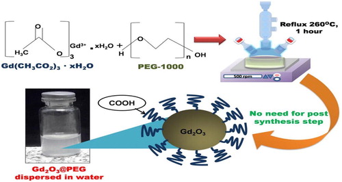 Figure 9. A simple straightforward thermal decomposition synthesis of PEG-covered Gd2O3 (Gd2O3@ PEG) nanoparticles ( Citation49).