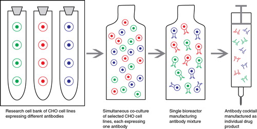 Figure 1. Schematic presentation of the Sympress™ technology for single-batch manufacturing of antibody mixtures.