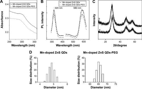 Figure 2 Characterization of Mn-doped ZnS QDs and Mn-doped ZnS QDs-PEG.Notes: (A) UV-vis absorption, (B) PL spectra, and (C) XRD patterns of (a) Mn-doped ZnS QDs, (b) Mn-doped ZnS QDs-PEG, and (D) size distribution (DLS).Abbreviations: DLS, dynamic light scattering; PEG, polyethylene glycol; PL, photoluminescence; QDs, quantum dots; UV-vis, ultraviolet-visible; XRD, X-ray powder diffraction.