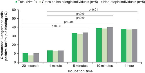 Figure 2. Kinetics of grass pollen allergen binding by oromucosal Langerhans cells ex vivo.