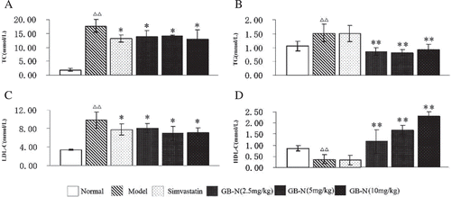 Figure 2.  Effects of simvastatin, GB-N on the serum level of (A) total cholesterol (TC), (B) triglycerides (TG), (C) low-density lipoprotein cholesterol (LDL-C), and (D) high-density lipoprotein cholesterol (HDL-C). Compared with normal group, Δp < 0.05, ΔΔp < 0.01; compared with model group *p < 0.05, **p < 0.01.