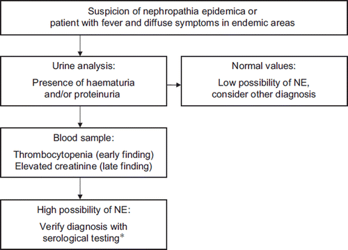 Figure 4. Proposed decision aid for early diagnosis of nephropathia epidemica (NE). *Point-of-care test or serological testing at clinical microbiological laboratory.
