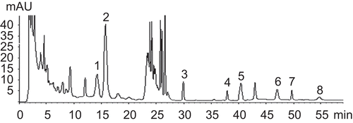 Figure 1.  Chromatogram of Da-Cheng-Qi decoction (DCQD) sample (1), hesperidin (2), aloe emodin (3), rhein (4), honokiol (5), magnolol (6), emodin (7), and chrysophanol (8) with I.S.