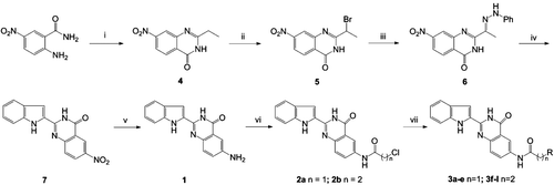 Scheme 1.  Synthesis of 6-aminoalkanamido-substituted 2-(1H-indol-2-yl)quinazolin-4(3H)-one derivatives (3a–j). Reagents and conditions: (i) orthoesters, reflux, 3 h; (ii) tryptamine, 115°C, 3 h; (iii) HCI, AcOH, reflux, 1 h; (iv) (v) 10% Pd/C, H2, MeOH, 8 h; (vi) ClCO(CH2)nCl, CH2Cl2, reflux and (vii) HNR2, EtOH, KI, reflux (‘R-’ are shown in Table 1).
