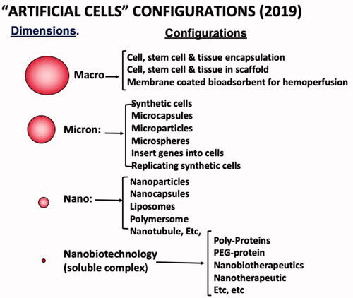 Figure 2. Artificial Cell dimensions: macro, micro, nano and soluble nanobiotechnologic. Examples of variations in configurations with new terminologies for each extension.