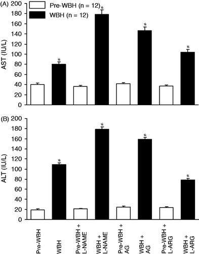 Figure 5. Plasma levels of aspartate aminotransferase (A, AST) and alanine aminotransferase (B, ALT) were measured before and 15 h after exposure to whole body hyperthermia. Significant increase in plasma AST and ALT after exposure to hyperthermia (*p < 0.05) compared with the pre-WBH group. Administration of eNOS and iNOS inhibitors (L-NAME and AG) significantly increased the AST and ALT (*p < 0.001). However, NO precursor, L-ARG attenuated the increase in AST and ALT (*p < 0.05, n = 12 for each group).