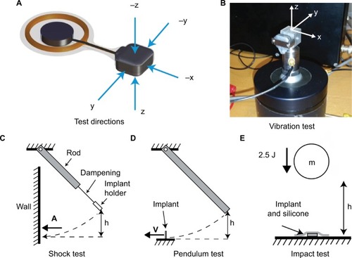 Figure 2 The Mechanical Tests.Notes: (A) The striking directions used in the mechanical shock test and the pendulum test. (B) The setup for the random vibration test showing how to attach the transducer on a fixture in order to vibrate it in three orthogonal directions, showing the mounting of the transducer for vertical testing. (C) The setup for the mechanical shock test showing how the shock pulse A with an amplitude of 500 g and duration of 1 ms was applied to the implant. A compliant dampening material kept the implant in the device holder mechanically isolated from an aluminum rod being released from a height h into a wooden wall. (D) The setup for the pendulum or fall test showing how to strike the implant in order to simulate an accidental drop from height h. The implant rests on a flat surface and the aluminum rod is dropped from height h in a controlled motion giving a fixed collision velocity v. (E) The setup for the mechanical impact test showing how to apply the energy E of 2.5 J by dropping a spherical object of mass m from height h onto the implant as it rests on a solid and rigid surface, covered by a silicone sheet that represents the skin.