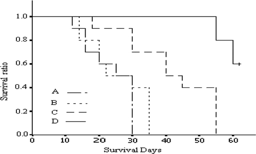 Figure 5. The survival curve of rats with transplanted liver cancer in each group.