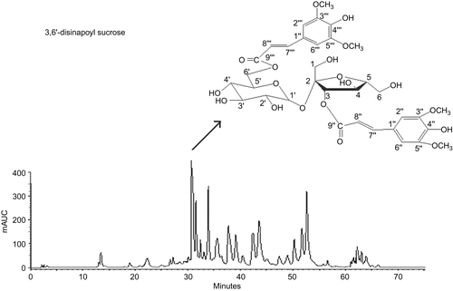 Figure 1.  The HPLC fingerprints of resin-fractionated YZ oligosaccharide esters (YZ-OE) and the chemical structure of 3,6′-disinapoyl sucrose.