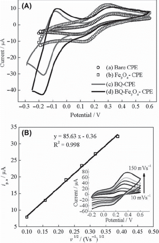 Figure 1. (A) Cyclic voltammograms of (a) UCPE, (b) Fe3O4-CPE, (c) BQ-CPE and (d) BQ-Fe3O4-CPE at 10 mVs‐1, (B) curve of the anodic peak current versus the square root of the scan rate for Fe3O4-CPE (inset: cyclic voltammograms at scan rates of 10, 25, 50, 75, 100 and 150 mVs−1) in 0.1 M KCl solution containing 1 mM Fe(CN)63−/4−.