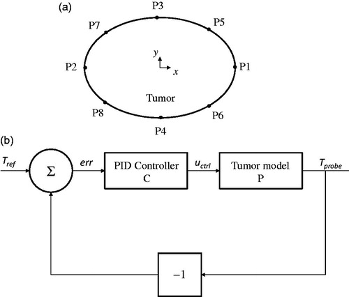 Figure 2 Modulating power based on single-point temperature feedback, choice of probe location and power modulation algorithm. (a) Eight locations on the tumor-tissue boundary were tested for temperature feedback during power modulated heating using criteria described in text. (b) Block diagram of feedback loop with the PID (proportional-integral-derivative) controller for modulating nanoparticle heat output.