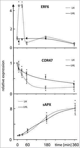 Figure 2. Expression level of ERF6, COR47 and sAPX after LH→L- or L→H-treatment. Transcript levels were quantified by qPCR in response to L→H shift at indicated time points. Parallel samples were transferred back to L-light after H-light-treatment and harvested at t = 360 min. Data are means ± SE of n = 3 independent experiments (with replicates), asterisks indicate significant difference to t = 0 min (Student's t-test P < 0.05).