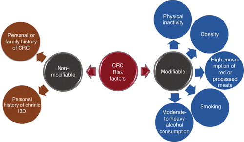 Figure 2. Factors intensifying or reducing the risk of CRC.