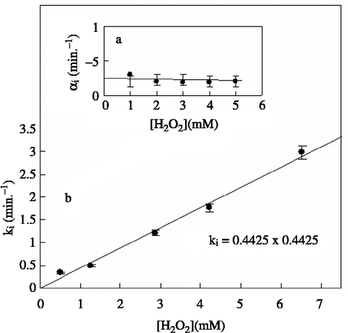 Figure 4 a) Dependence of ki on concentration of suicide-substrate, [H2O2]. [AH] = 0.4 mM, [MP-11] = 1.0 μM, pH = 7.0, phosphate buffer 5.0 mM and temperature of 27°C. b) Independency of αi on [H2O2]. [AH] = 0.4 mM, pH = 7.0, phosphate buffer 5.0 mM and temperature of 27°C.