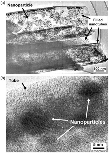Figure 3. TEM images of MCNTs prepared by filling process. (a) MCNTs filled with ferrofluid in magnetic field. (b) High-resolution TEM image of a portion of the nanotube, filled with MNPs [Citation34].