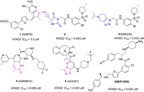 Figure 1. Several representative ATAD2 inhibitors. The pink group indicates the classical acetyl group analog unit initiating hydrogen with ASN1064 and the blue groups indicate non-classical ZA loop region binding units.