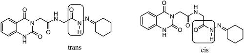 Figure 6. Cis/trans amide conformers of hydrazone 4e.