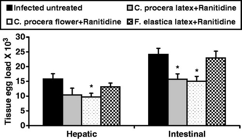 Figure 1. Effect of C. procera stem latex and flower and Ficus elastica extracts oral administration (500 mg/kg for 3 days + ranitidine 30 mg/kg for 3 days) on hepatic and intestinal tissue egg loads in S. mansoni-infected mice 2-week post-treatment. Values are expressed as means ± SEM. *p < 0.05 (significant difference compared with infected control group).