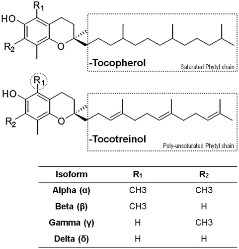 Figure 1. Chemical structures of various vitamin E compounds and isoforms. Illustrating the primary similarities and differences between tocopherols (Tph) and tocotrienols (T3).
