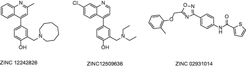 Figure 15. Compounds selected by exhaustive molecular docking published by Pauli et al.