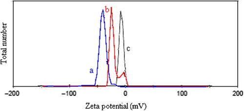 Figure 3. The zeta potentials of (a) D3e nanospheres, (b) D3 nanospheres, and (c) magnetite.