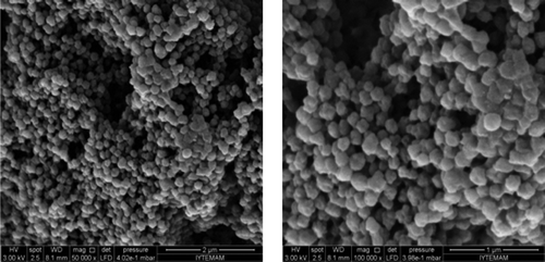 Figure 3. SEM photograph of p(HEMA) nanoparticles.