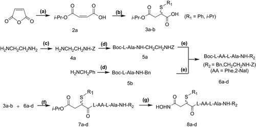 Figure 2.  Synthesis of 8a–d. Reagents and conditions: (a) i-PrOH; (b) R1SH/Et3N, benzene; (c) Z-Cl (PhCH2OCOCl); (d) Boc-l-AlaOH, HOBt/DCC, H2NCH2Ph; (e) TFA, Boc-l-AA-OH, HOBt/DCC/Et3N; (f) TFA, HOBt/DCC/Et3N; (g) HONH2/MeOH.