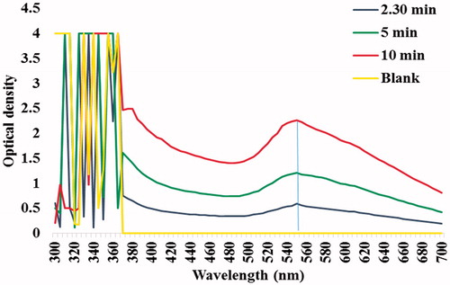 Figure 2. UV-visible spectra of Au NPs synthesized by L. camara root extract.