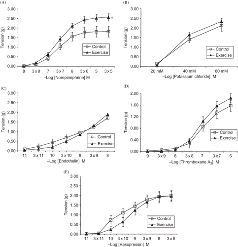 Figure 2. Cumulative concentration–response curves to norepinephrine (A), potassium chloride (B), endothelin (C), thromboxane A2 (D), and vasopressin (E) in renal resistance arteries from experimental groups.Notes: Values are means ± SE.*Denotes p < 0.01, difference from control group.