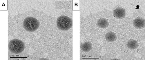 Figure 2 Transmission electron micrograph of unPEG-BILS (A) and PEG-BILS (B) optimum formulation.