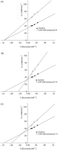 Figure 4.  Lineweaver–Burk plots for inhibitory activity of (A) compound 8, (B) compound 10, and (C) compound 11 on intestinal sucrase.