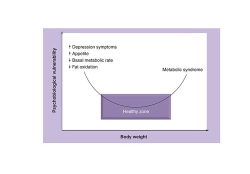 Figure 1. Notion of psychobiological well-being (healthy zone) situated between the risks of excess weight gain and excess weight loss.