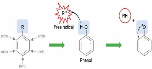 Figure 1. Free radical scavengers’ activity of phenolic compounds.