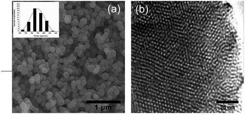 Figure 1. Electron microscopy of MSNs. (a) FESEM image of uniform nanospheres and inset: the particle size distribution histograms (b) TEM image of hexagonal array of channels.
