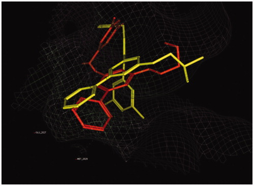 Figure 4. Overlay of KIST301072 (yellow stick) and compound 7a (orange stick) bound to ROS1 active site.