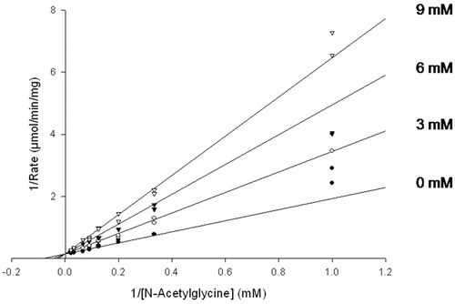 Figure 2. Inhibition of PHM by cinnamic acid. Assays were performed as described in “Methods” section for the initial rate determination. The points are initial rates and the lines were computer fit using SigmaPlot 9.0. Initial rates of O2 consumption were measured for ≤3 min, during which the inactivation mediated by cinnamate makes a neglible contribution to the observed inhibition.
