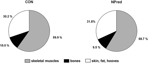 Figure 3. Fractions of full body analysis relative to carcass weight of pigs fed the control diet (CON, n = 4) and the diet with reduced nitrogen and phosphorus concentrations (NPred, n = 4).