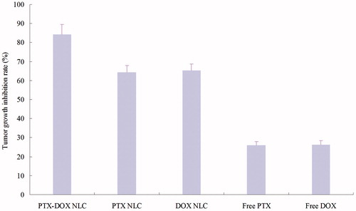 Figure 4. The tumor inhibition rates of different formulations.